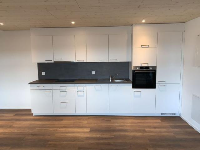 Rent a 1 room roof flat in Döttingen