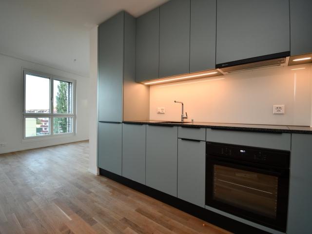 Rent a 1 room studio in Bern Flatfox