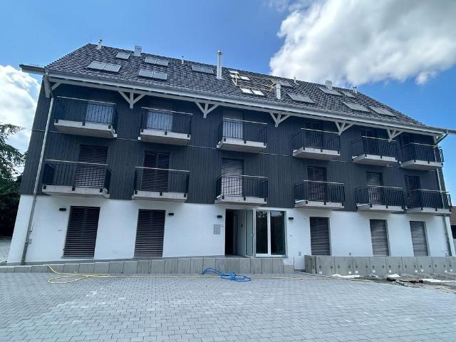 Rent a 1 room studio in Rümlang Flatfox