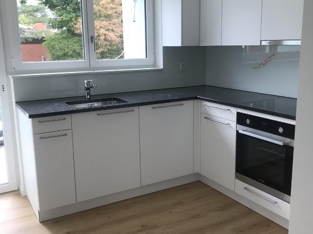 Rent a 1 ½ rooms apartment in Aarau Flatfox