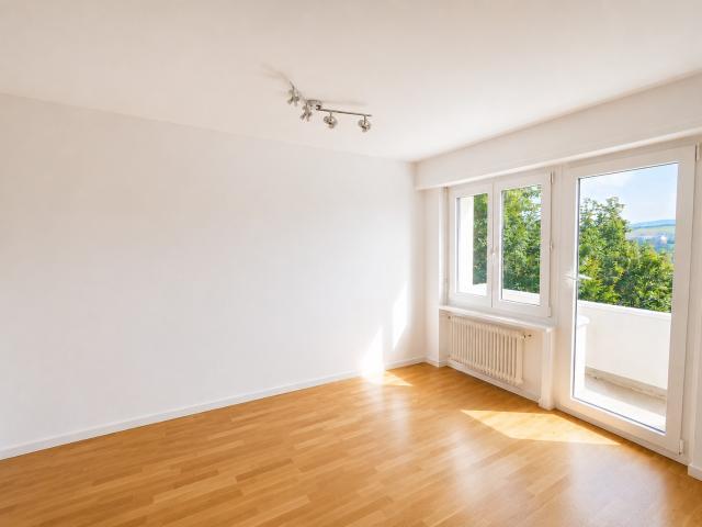 Rent a 1 ½ rooms apartment in Adliswil Flatfox