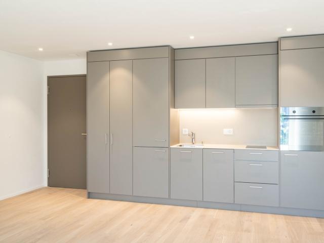 Rent a 1 ½ rooms apartment in Altstätten Flatfox