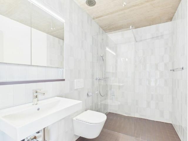 Rent a 1 ½ rooms apartment in Basel Flatfox