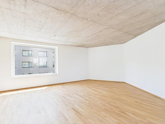 Rent a 1 ½ rooms apartment in Basel Flatfox