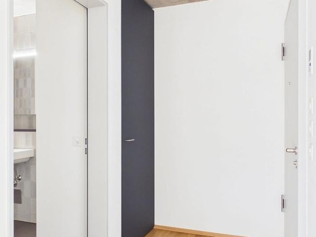 Rent a 1 ½ rooms apartment in Basel Flatfox