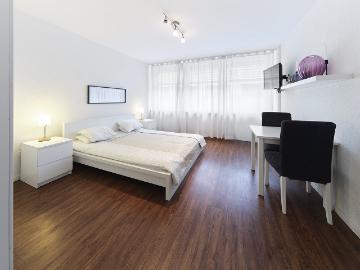 Rent a 1 ½ rooms apartment in Basel Flatfox