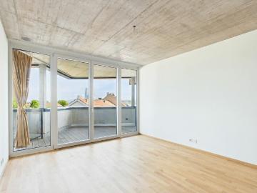 Rent a 1 ½ rooms apartment in Basel Flatfox