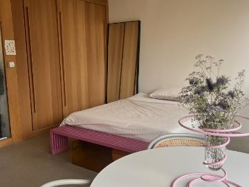 Rent a 1 ½ rooms apartment in Basel Flatfox