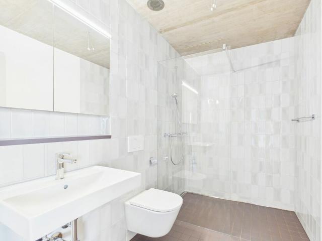 Rent a 1 ½ rooms apartment in Basel Flatfox