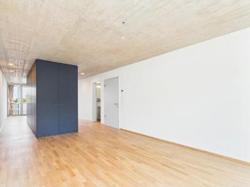 Rent a 1 ½ rooms apartment in Basel Flatfox