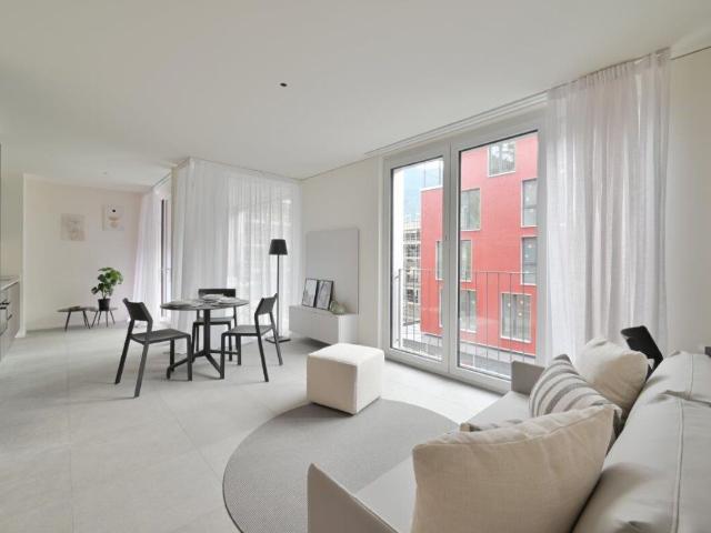 Rent a 1 ½ rooms apartment in Bellinzona Flatfox