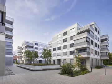 Rent a 1 ½ rooms apartment in Biberist Flatfox