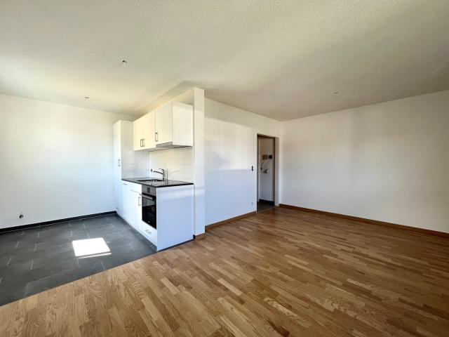 Rent a 1 ½ rooms apartment in Biel/Bienne Flatfox
