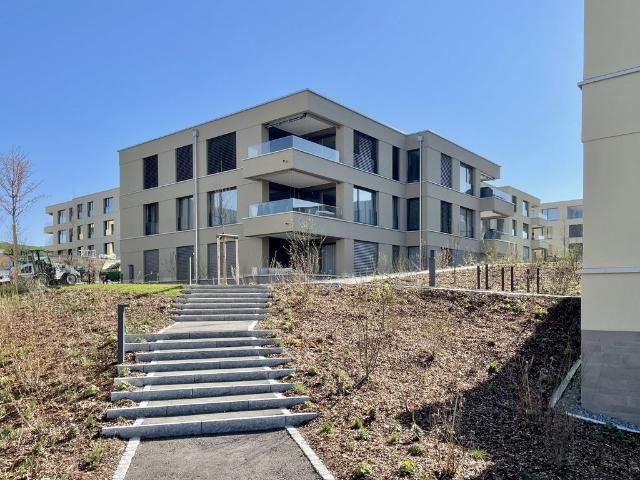 Rent a 1 ½ rooms apartment in Birmensdorf Flatfox
