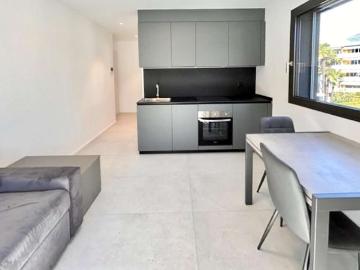 Rent a 1 ½ rooms apartment in Breganzona Flatfox