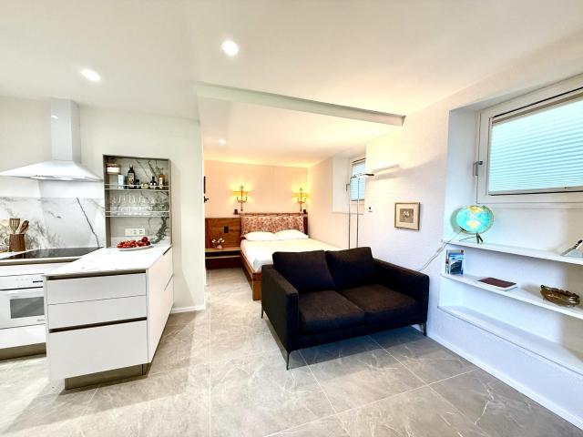 Rent a 1 ½ rooms apartment in Gandria Flatfox