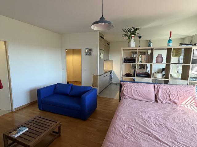 Rent a 2 rooms apartment in Geneva Flatfox