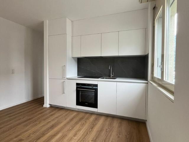 Rent a 1 ½ rooms apartment in Giubiasco Flatfox