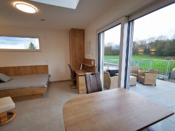 Rent a 1 ½ rooms apartment in Däniken Flatfox
