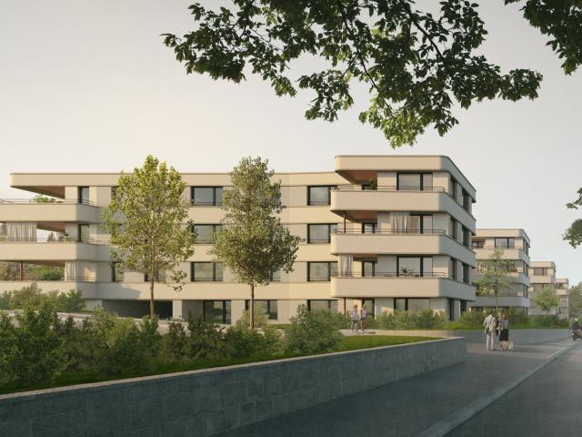 Rent a 1 ½ rooms apartment in Erlenbach ZH Flatfox