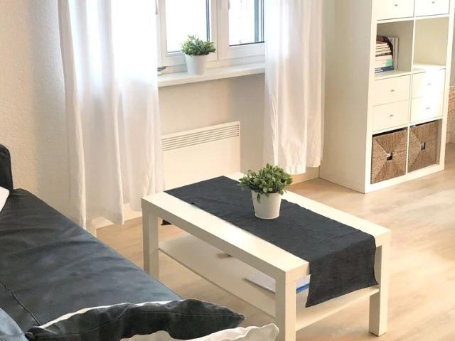 Rent a 1 ½ rooms apartment in Erlinsbach Flatfox