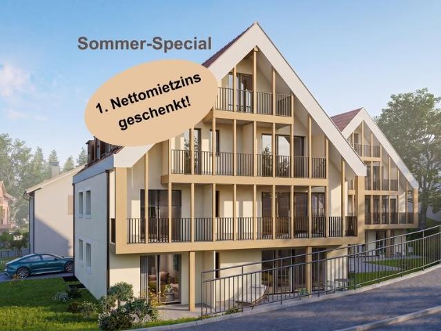 Rent a 1 ½ rooms apartment in Ettingen Flatfox