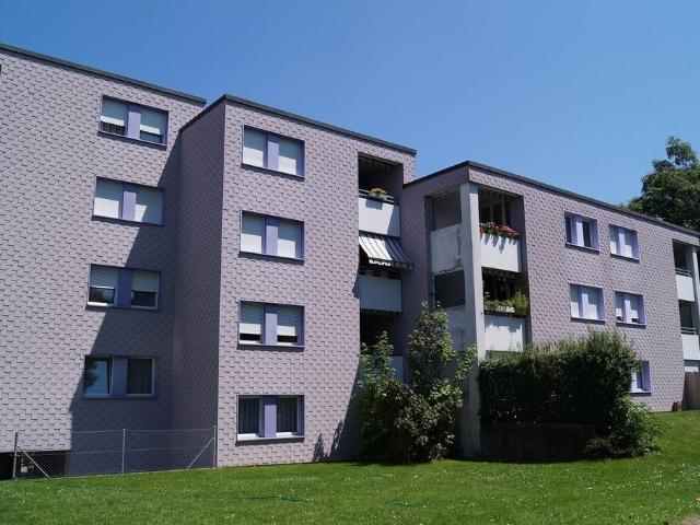 Rent a 1 ½ rooms apartment in Frauenfeld Flatfox