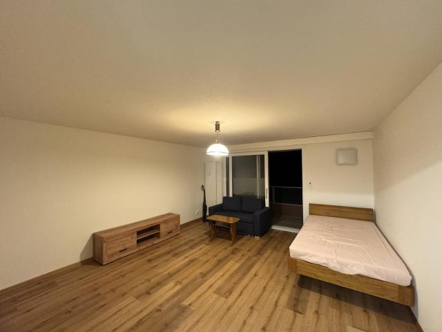 Rent a 1 ½ rooms apartment in Frauenfeld Flatfox