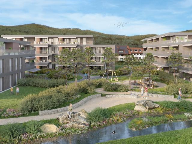 Rent a 1 ½ rooms apartment in Kappel SO Flatfox