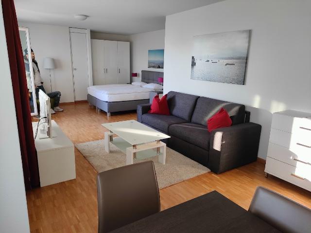 Rent a 1 ½ rooms apartment in Oberengstringen Zurich Flatfox