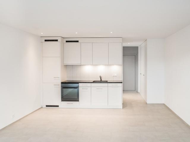 Rent a 1 ½ rooms apartment in Oberentfelden Flatfox
