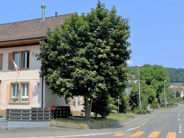 Rent a 1 ½ rooms apartment in Oberkulm Flatfox