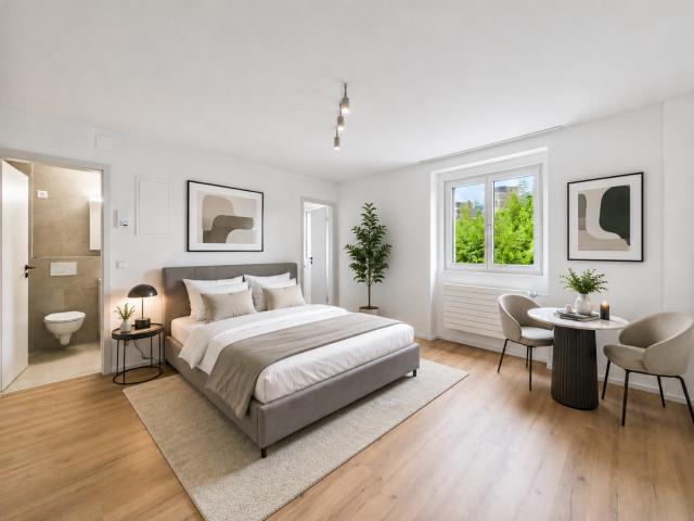 Rent a 1 ½ rooms apartment in Luzern Flatfox