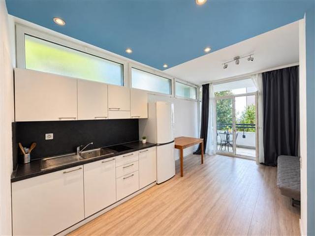 Rent a 1 ½ rooms apartment in Lugano Flatfox