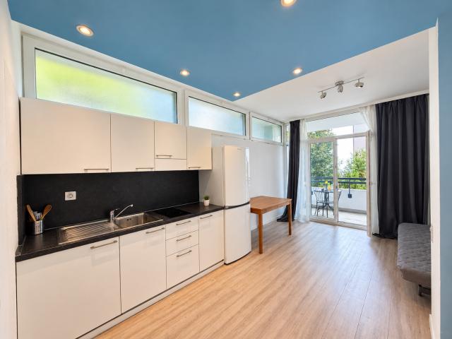 Rent a 1 ½ rooms apartment in Lugano Flatfox