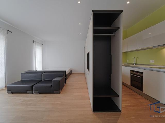 Rent a 1 ½ rooms apartment in Lugano Flatfox