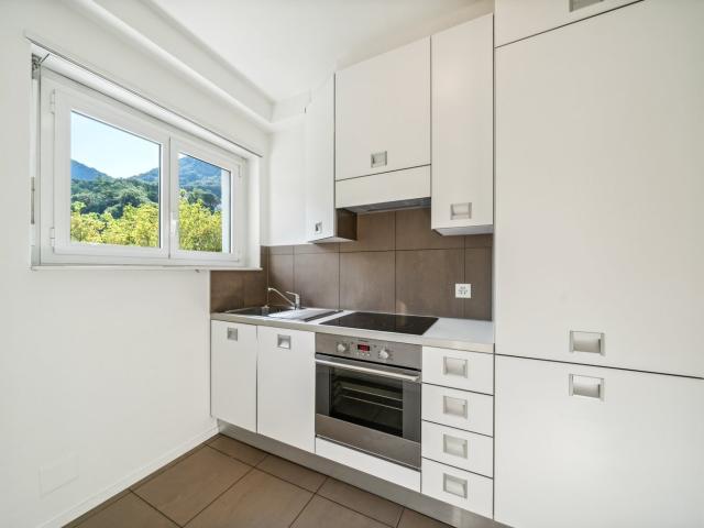 Rent a 1 ½ rooms apartment in Lugano Flatfox
