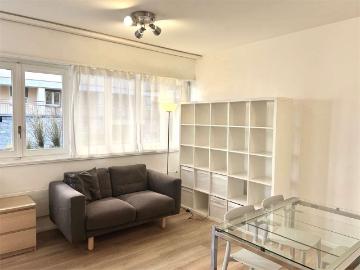 Rent a 1 ½ rooms apartment in Lugano Flatfox