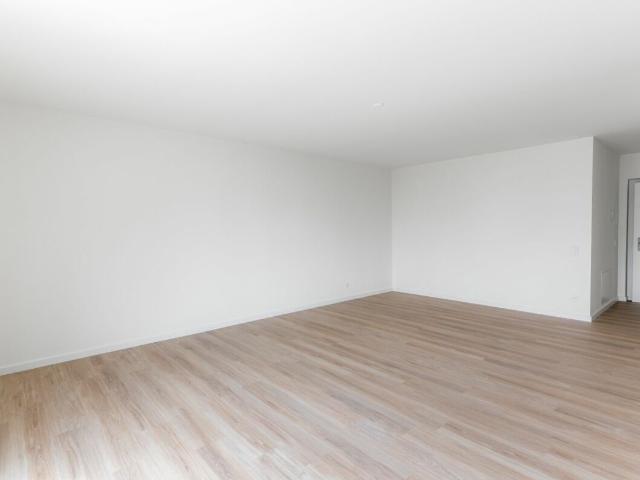Rent a 1 ½ rooms apartment in Minusio Flatfox