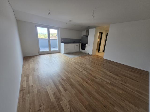 Rent a 1 ½ rooms apartment in Mülligen Flatfox