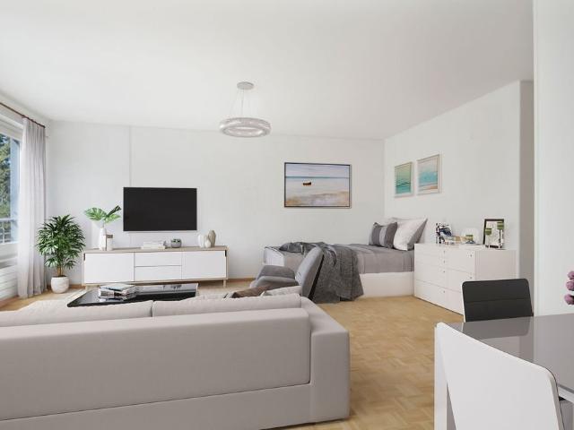 Rent a 1 ½ rooms apartment in Neuchâtel Flatfox