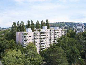 Rent a 1 ½ rooms apartment in Schlieren Flatfox