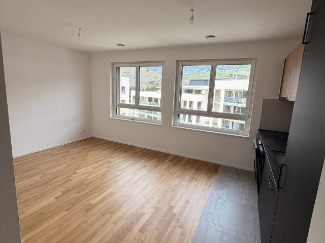 Rent a 1 ½ rooms apartment in Sion Flatfox