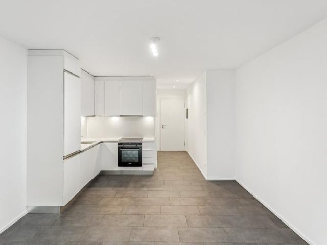 Rent a 1 ½ rooms apartment in Pambio Noranco Flatfox