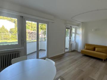 Rent a 1 ½ rooms apartment in Paradiso Flatfox