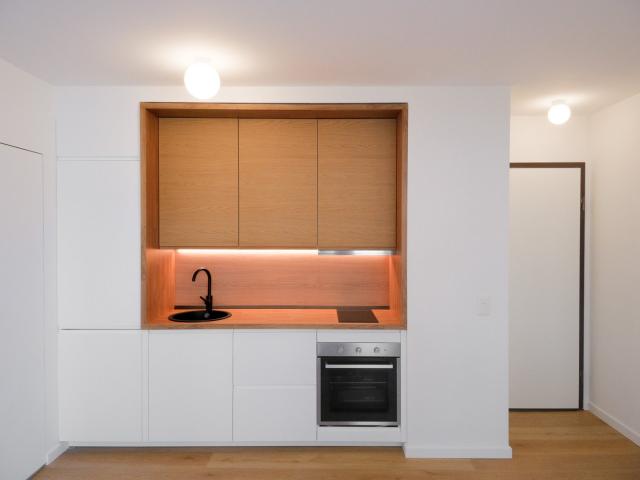 Rent a 1 ½ rooms apartment in Paradiso Flatfox