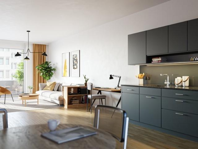 Rent a 1 ½ rooms apartment in Rorschach Flatfox