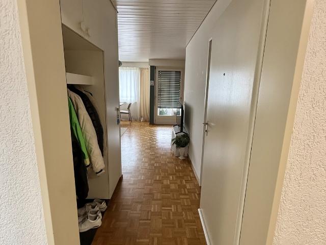 Rent a 1 ½ rooms apartment in Richterswil Flatfox