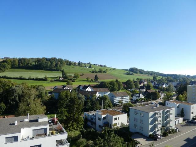 Rent a 1 ½ rooms apartment in Rudolfstetten Flatfox