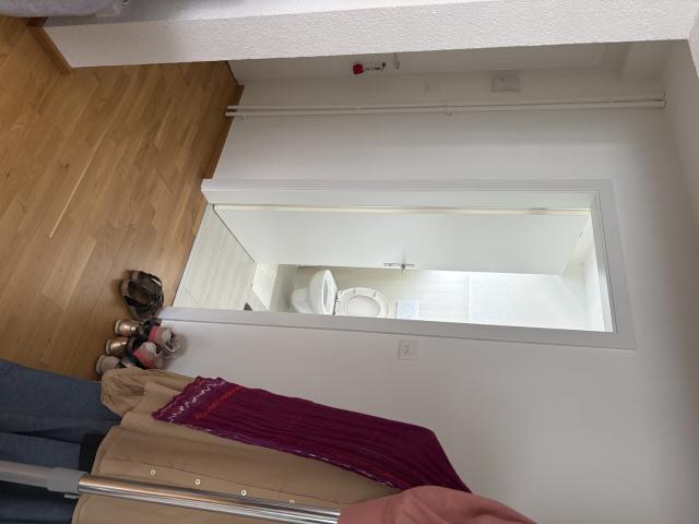 Rent a 1 ½ rooms apartment in Wattwil Flatfox